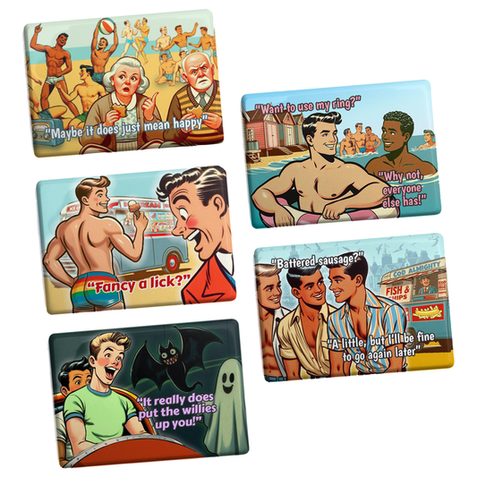 Set of 5 funny, quality gay fridge magnets