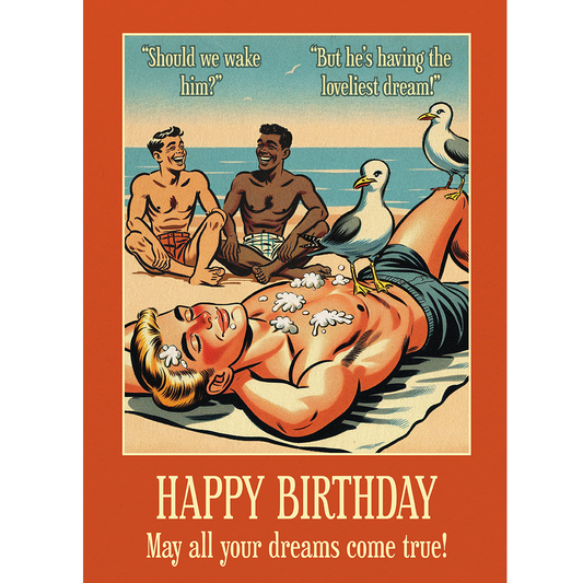 Funny gay birthday card: Seagulls