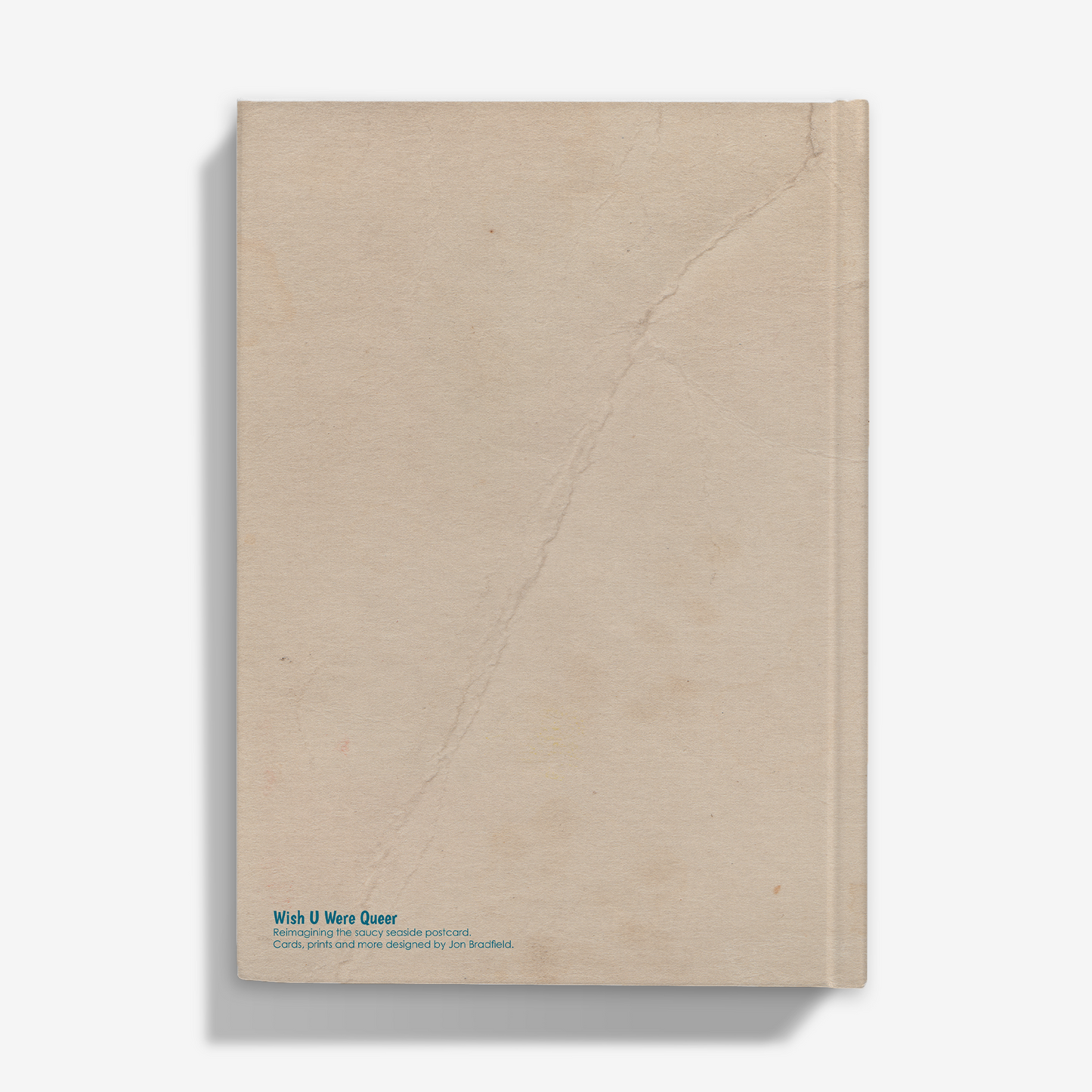 Hardback Journal (A5, plain): Gay humour "Fancy A Lick?"
