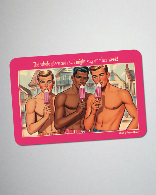 Postcard fridge magnet, retro gay humour: Sucks