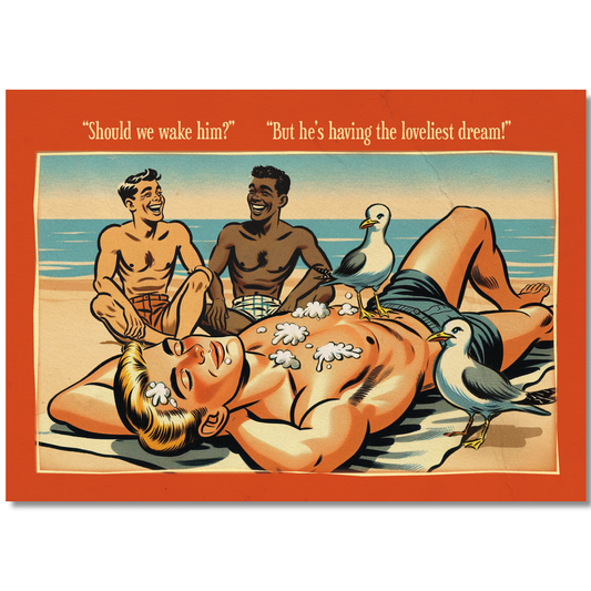 Funny Gay Art Postcard: Seagulls